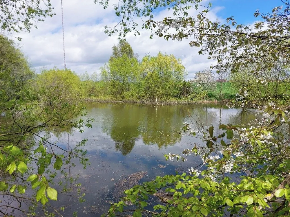 Prodej rybníku (vodní plochy) 12045 m² — Krásensko